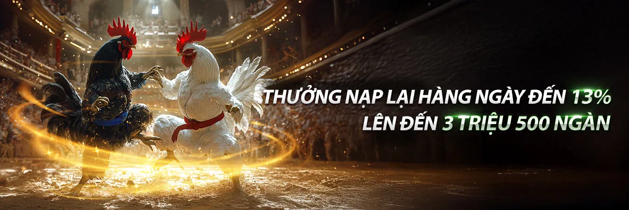 Trực Tiếp Đá Gà 25/7 – Sân đấu kịch tính